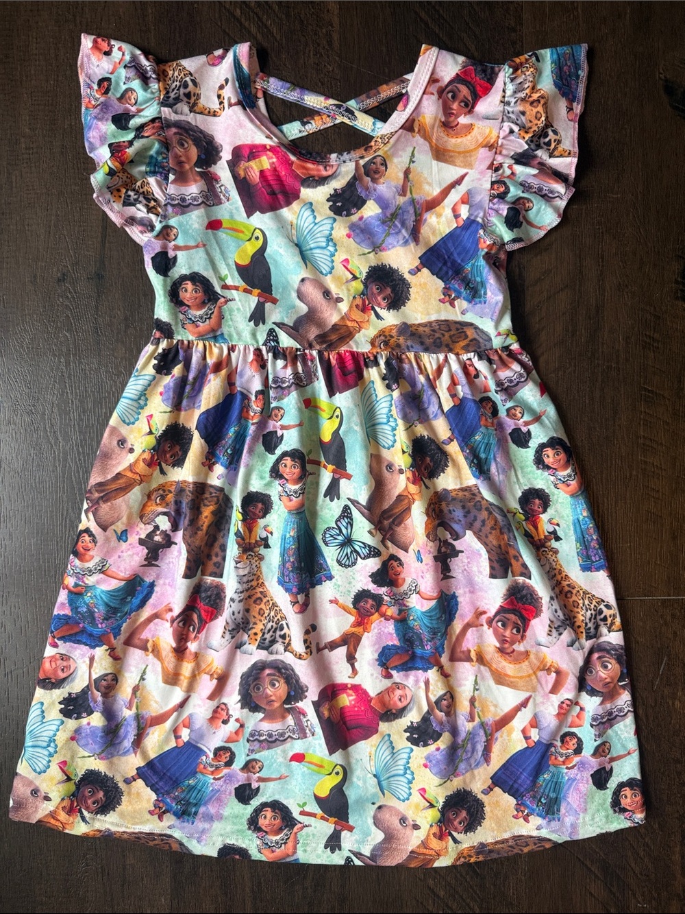 Girls' Encanto Inspired Character Flutter Sleeve Dress sz 6/7